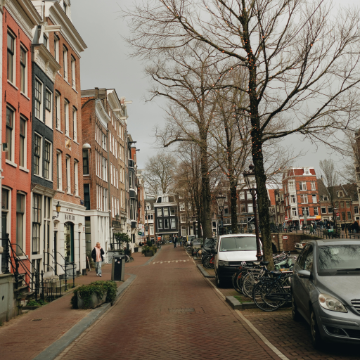 Parked cars on the street